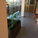 file_0037